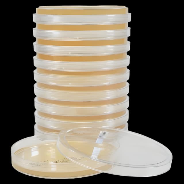 TSA Deep Fill Plate by Hardy Diagnostics