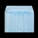 Disposable Underpad TENA® Extra 23 X 36 Inch Polymer Light Absorbency