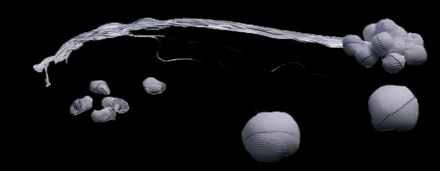 Surgical Tonsil Sponge Bioseal® X-Ray Detectable Cotton 1-1/4 Inch Diameter 5 Count Card Sterile