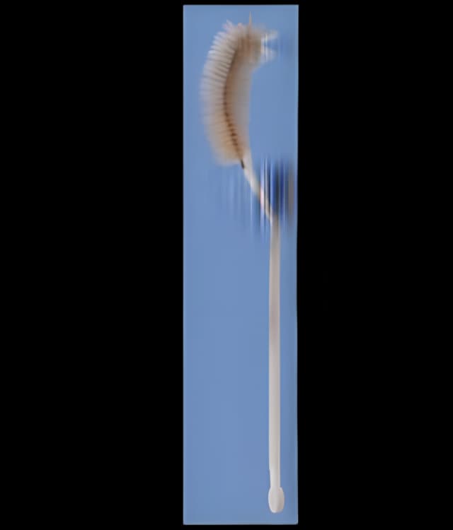 Fisherbrand™ Flask Brush 1-2/5 Diameter X 12 Inch Length, Flexible Handle, Soft Bristles For 250 mL Flasks