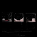 McKesson Silicone Wound Contact Layer Dressing 3x4