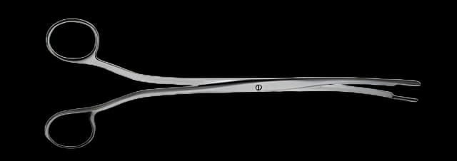 Kidney Stone Forceps V. Mueller® Randall 8-1/4 Inch Length Half curved, No. 2