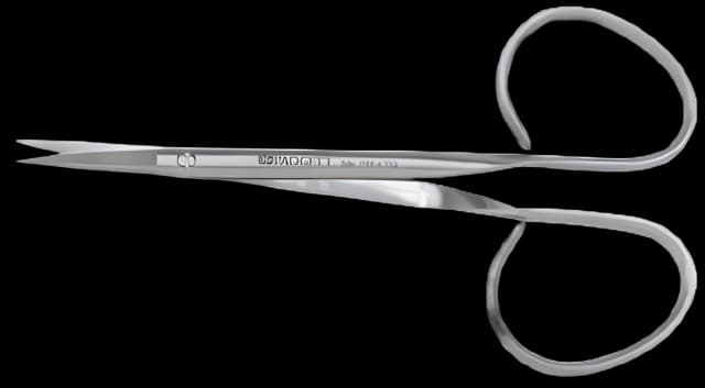 Iris Scissors Padgett® 4 Inch Length Surgical Grade Stainless Steel NonSterile Ribbon Style Finger Ring Handle Straight Blade Sharp Tip / Sharp Tip