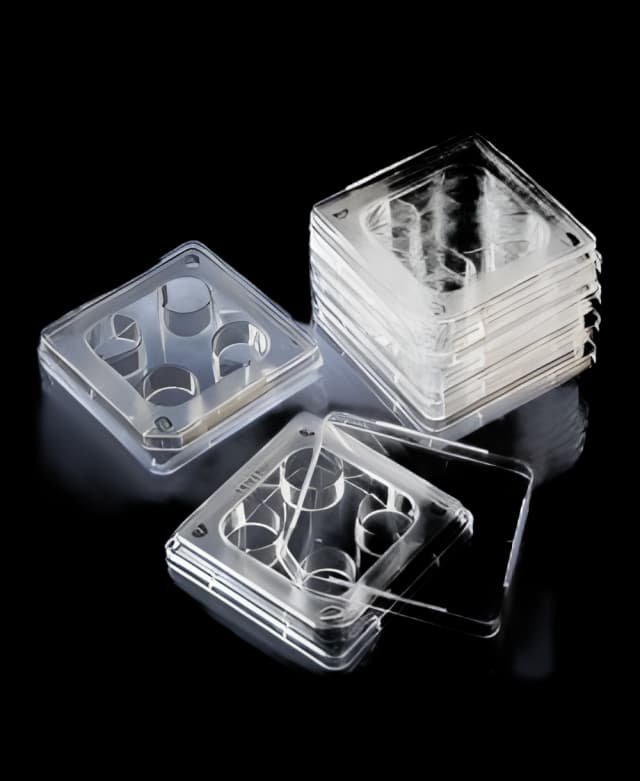 Nunc™ 4-Well IVF Dish - Polystyrene 144444