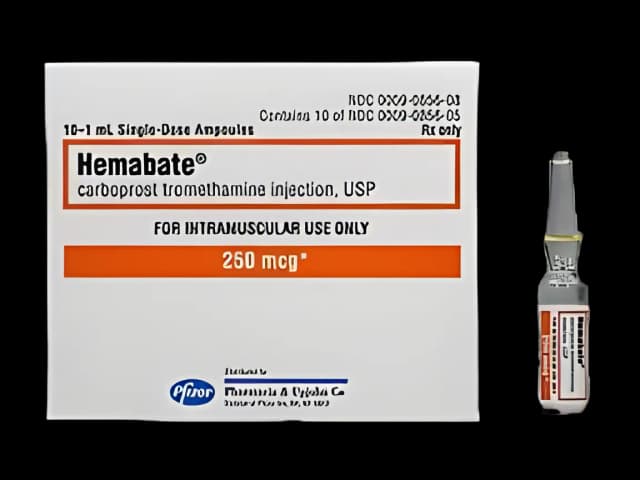 Hemabate 250 mcg/mL Carboprost Injection - Pfizer