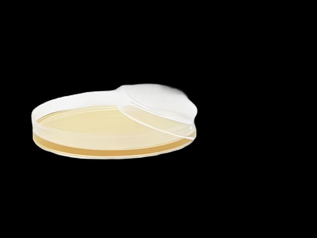 TSA Plates with Lecithin & Tween - Hardy Diagnostics
