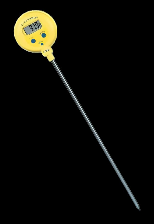 Fisherbrand Traceable Digital Lab Thermometer -58° to 572°F