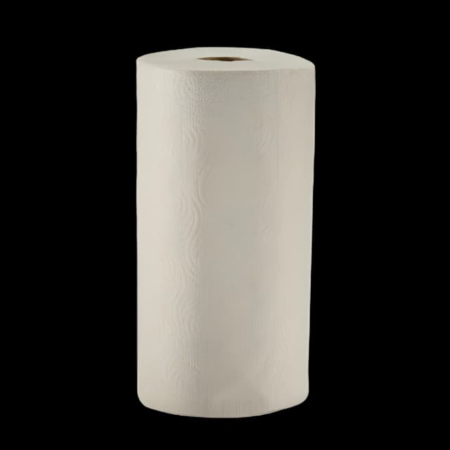 Kitchen Paper Towel Pacific Blue Basic™ Perforated Roll 8-4/5 X 11 Inch