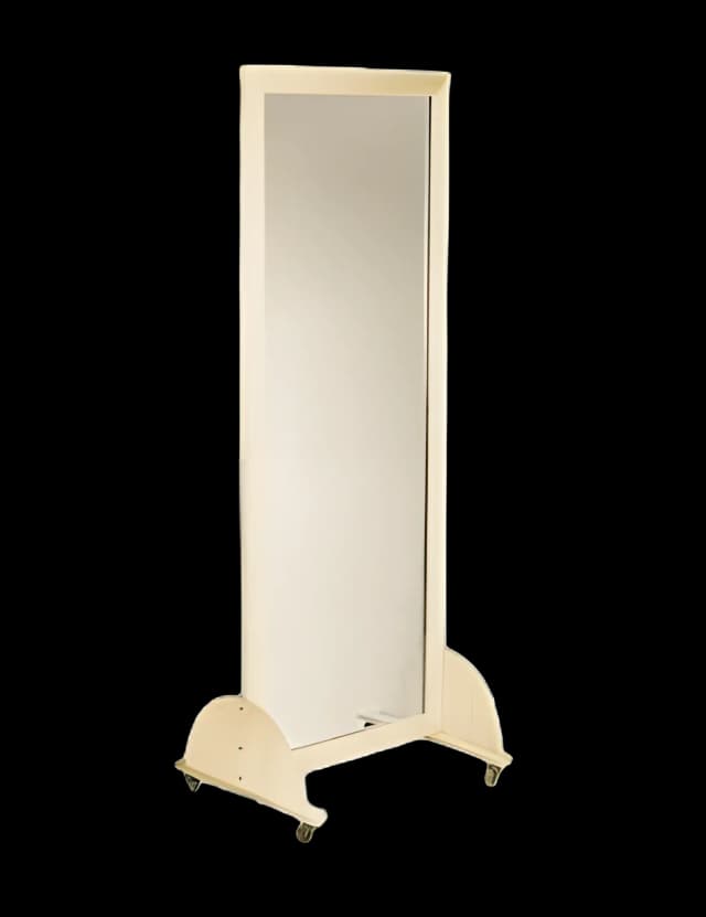 Mobile Mirror 24 X 28 X 75 Inch