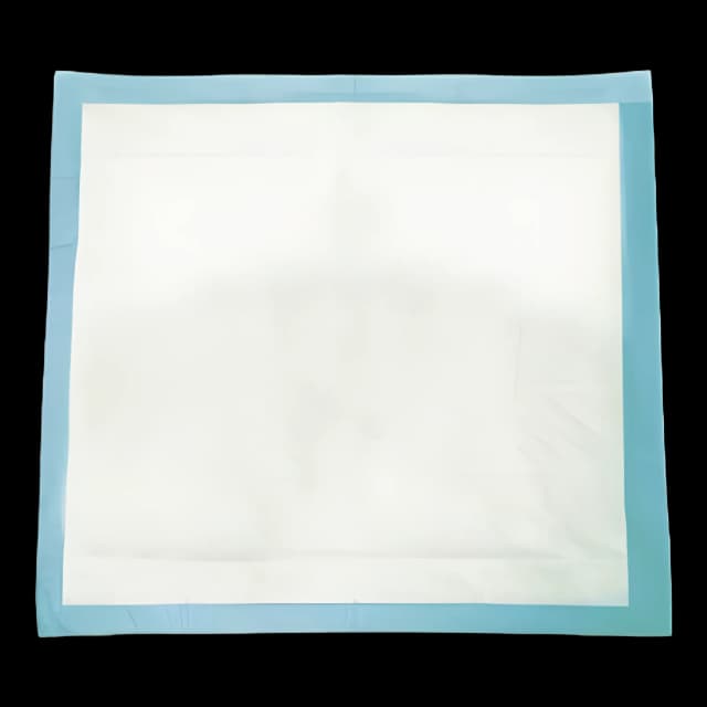 Disposable Underpad Tranquility® Essential 22 X 36 Inch Super Absorbent Material Moderate Absorbency