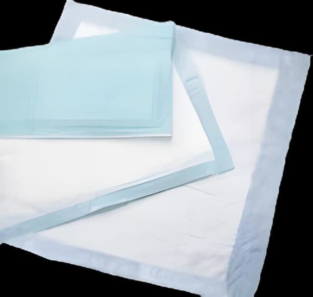Disposable Underpad Passport™ Deluxe 22 X 24 Inch Fluff Light Absorbency