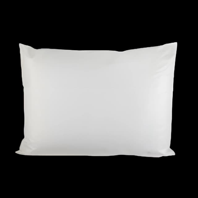 Bed Pillow McKesson 19 X 25 Inch White Reusable