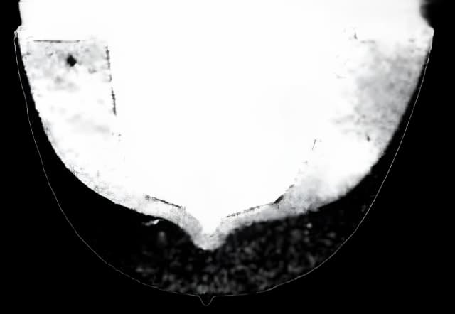 Teeth Guard Gardent Plastic White