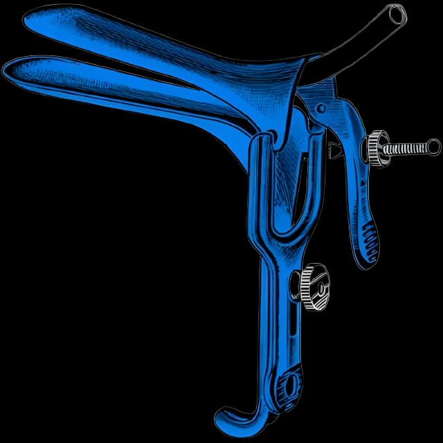 Electrosurgical Vaginal Speculum Sklar Blue™ Graves NonSterile OR Grade Coated Stainless Steel Large With DSE Loop Reusable Without Light Source Capability