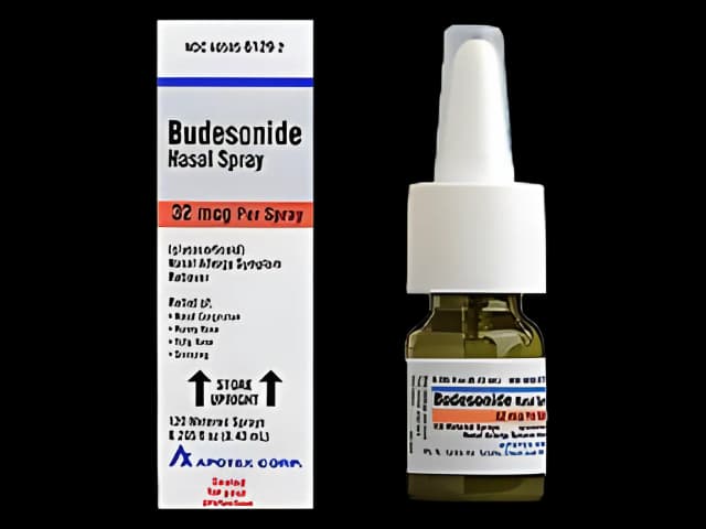 Budesonide 32 mcg Allergy Nasal Spray - 120 Doses