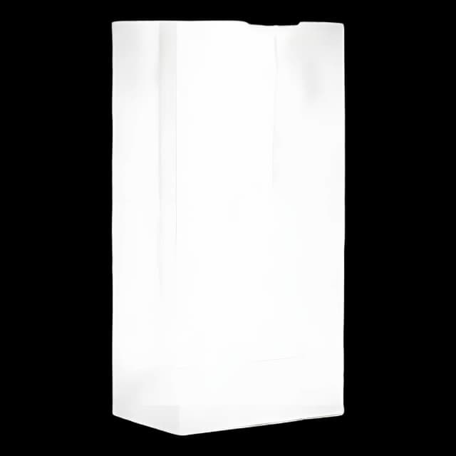 Medical Grade Grocery Paper Bags - 500 Pack