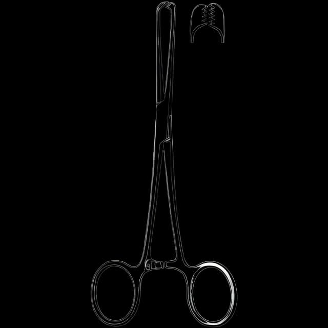 Tissue Grasping Forceps Merit™ Allis 6 Inch Length Mid Grade Stainless Steel NonSterile Ratchet Lock Finger Ring Handle Straight 5 X 6 Teeth