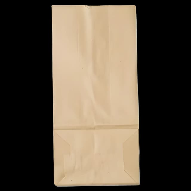 Eco-Friendly Kraft Paper Bags for Medical Use
