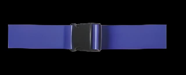 Gait Belt AliMed® 54 Inch Length Blue Vinyl