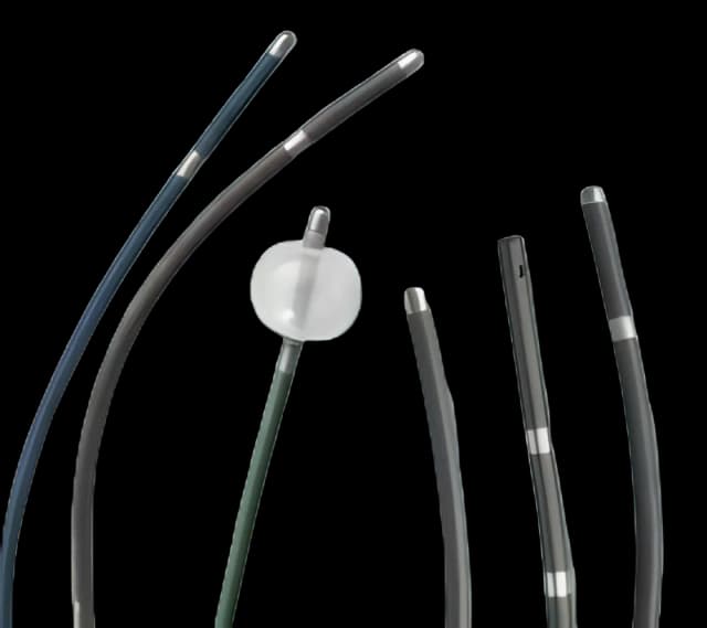 Electrode Catheter