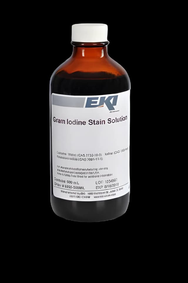Gram Iodine Stain 500mL - EK Industries | Laboratory Reagent