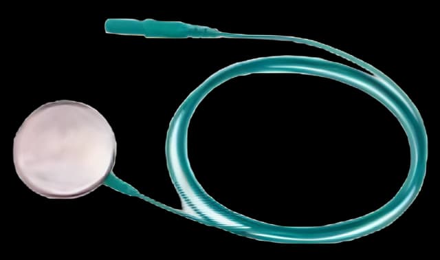 EMG Ground Electrode with Leadwire Natus® 30.5 mm Diameter X 30 Inch Lead Length Stainless Steel NonSterile Disc Tip Reusable