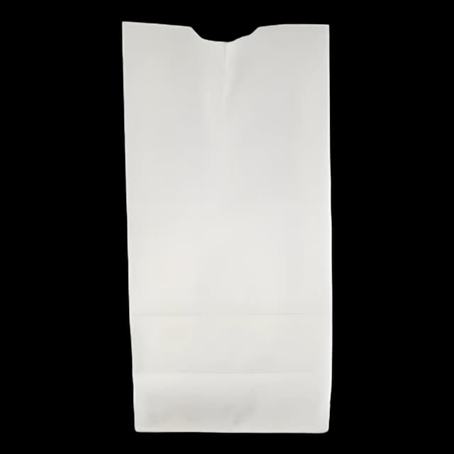 Medical Grade Grocery Paper Bags - Latex-Free, 500 Pack