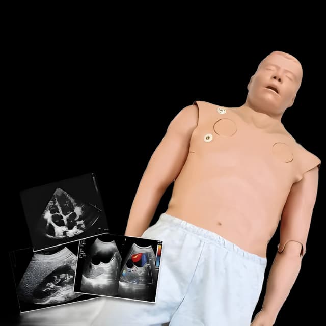 Ultrasound Simulation SMART STAT with VausSim