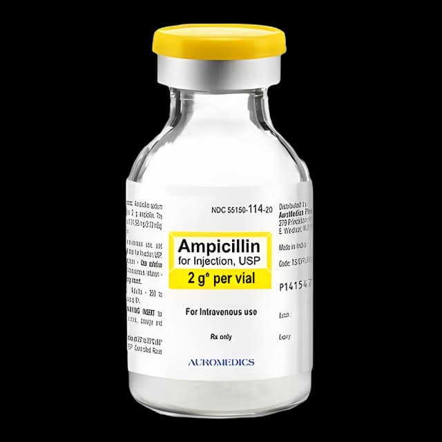 Ampicillin Sodium 2 Gram Injection Vial - 1016320