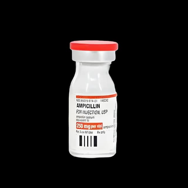 Ampicillin Sodium 250 mg Injection Vial 10 mL