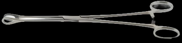 Sponge Forceps BR Surgical Foerster 7 Inch Length Surgical Grade Stainless Steel NonSterile Ratchet Lock Finger Ring Handle Straight Serrated Fenestrated Teardrop Jaws