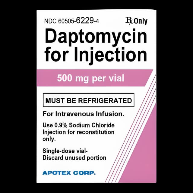 Daptomycin 500 mg Injection Single-Use Vial 10 mL - 60505622904