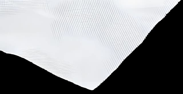 Wound Contact Layer Dressing Conformant 2 4 X 12 Inch Sterile