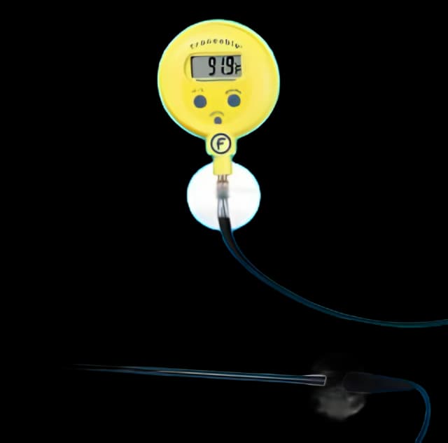 Digital Laboratory Thermometer Fisher Scientific™ Fahrenheit / Celsius -58° to +572°F (-50° to +300°C) Stainless Steel Probe Handheld / Wall Mount Battery Operated