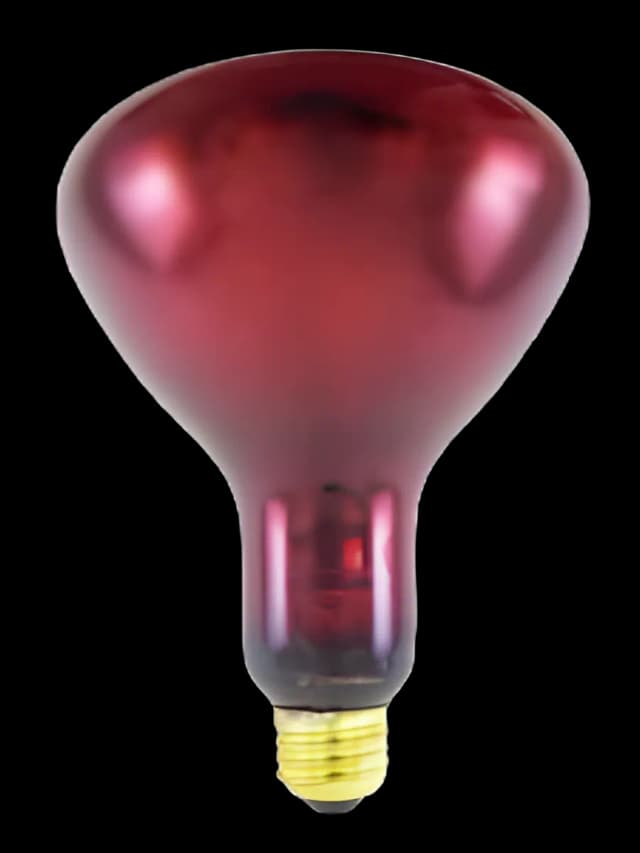 Surgical Infrared Lamp