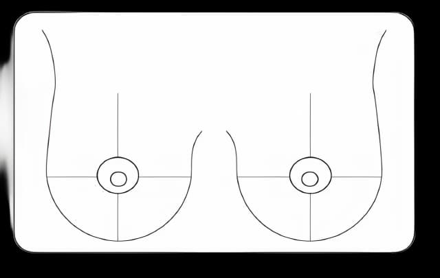 Pre-Printed Label UAL™ Advisory Label White Paper Breast Black Diagram / Symbol 1-1/2 X 2-1/2 Inch