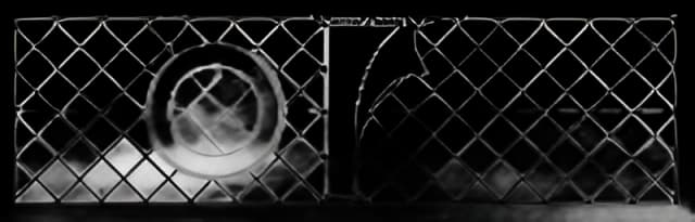 Hernia Belt Nu-Form™ 2X-Large 4 Inch Width - 6414