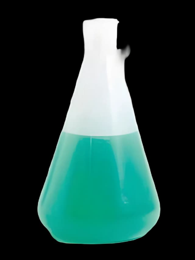 Erlenmeyer Flask Dynalon™ Polypropylene 500 mL (16 oz.)