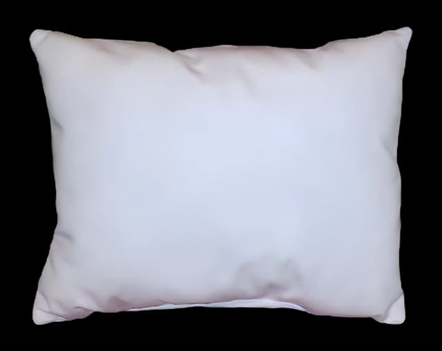 Staphcheck® Reusable Bed Pillow 18x24 - Medical Supply