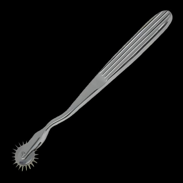 Wartenberg Pinwheel 2.54 OD X 17 L cm