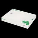 Foam Dressing Mepilex® Heel 5 X 8 Inch Without Border Film Backing Silicone Adhesive Heel Sterile