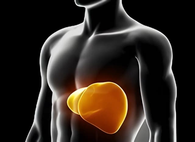 General Chemistry Reagent Alkaline Phosphatase (ALP) For Mindray BS-480 Analyzer