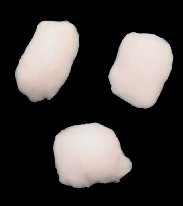 Cotton Ball Medium Sterile 3 per Pack - 8103/50