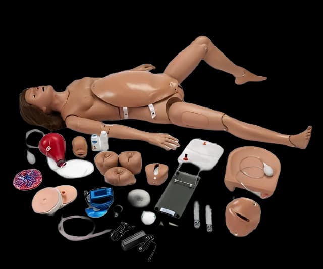 Gaumard® NOELLE® Maternal Birthing Simulator - Obstetric Training