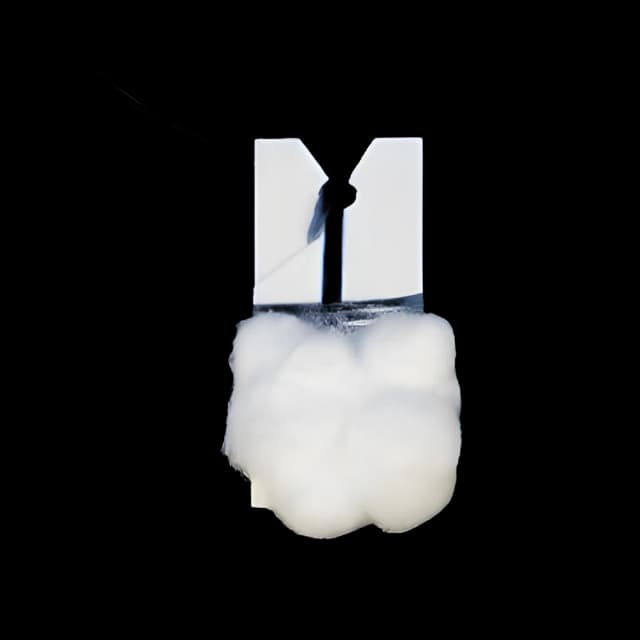 Double Strung Cotton Ball X-Ray Detectable Cotton 3/8 Inch Diameter 5 per Pack Sterile