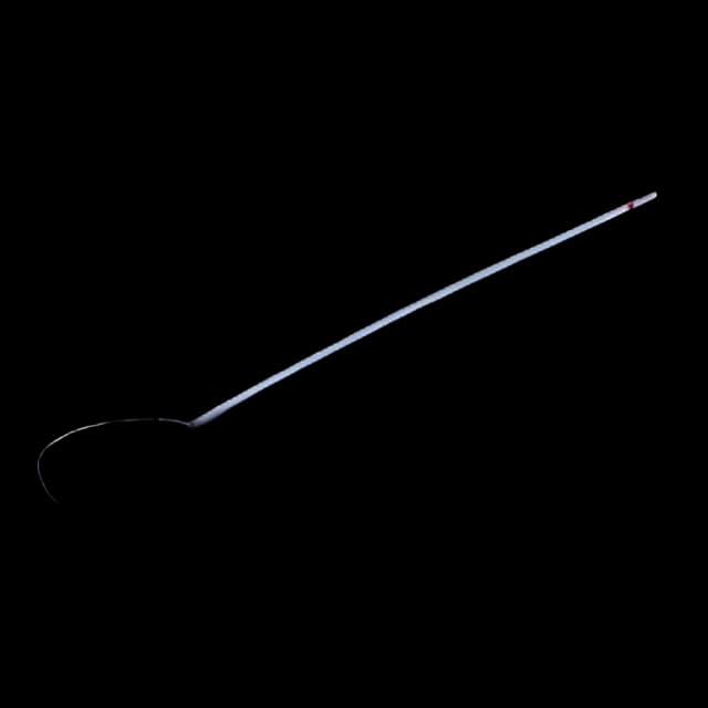 Absorbable Ligating Loop with Suture ENDOLOOP® with PDS™ II Polydioxanone Monofilament Size 0