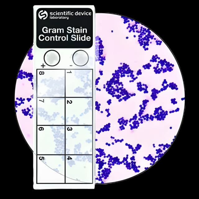 Gram Stain Positive Control Slides - Microbial ID