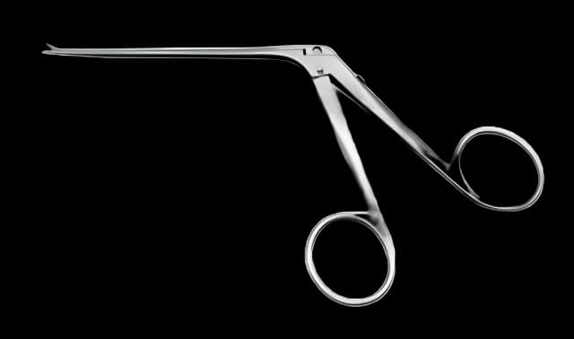 Ear Forceps Storz® House-Miniature 134 mm Stainless Steel NonSterile Finger Ring Handle Straight Extremely Delicate, 4 mm Fine Serrated Jaws - X0241