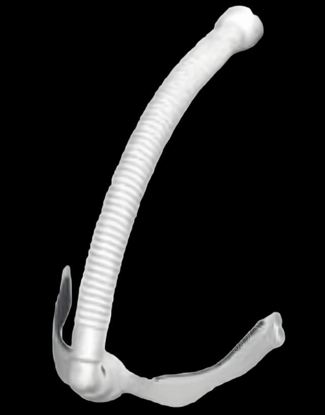 CPAP Mask Component CPAP Mask Opus™ 360 Nasal Pillow Style