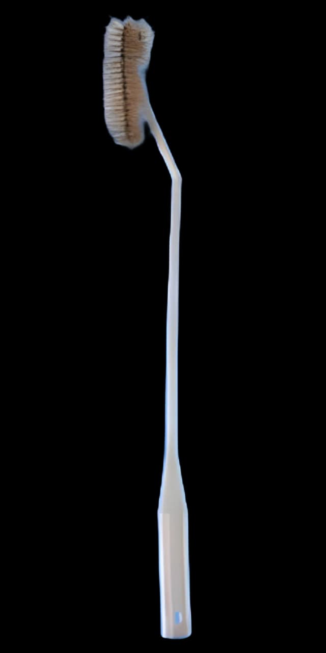 Fisherbrand® Flask Brush 16 Inch L, Bristle: 1.5 OD X 4 L Inch, Plastic Shaft and Handle, Extended Bristled End, Unbleached White Hog Bristles Flask / Bottle